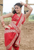 Bollywood and Tollywood acress Hari priya in saree, navel show, hot, sexy, navel show, indian film spicy, masala, 