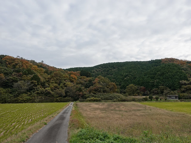 つぼかめ山