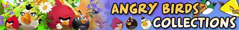 Play Angry Birds !