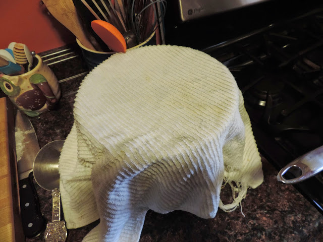 The homemade dinner roll dough rising in a bowl, covered with a towel.