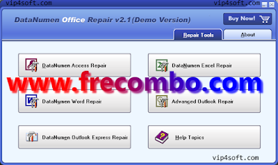 DataNumen Data Recovery 2.1 (GiveAway License Key Pro Edition)