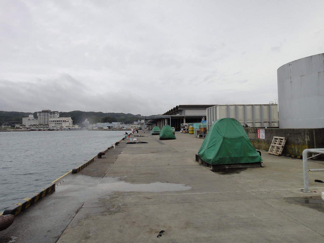 勝浦漁港でアジ釣り 食雑写記