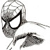 Portrait rapide de Spiderman