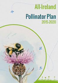 Cover of all-Ireland Pollinator Plan