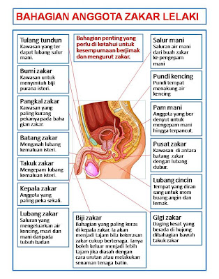 LELAKI SEJATI