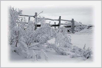 Зимние мотивы сельского пейзажа.