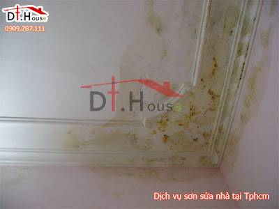 Công ty sửa chữa nhà ở chất lượng uy tín tại thành phố hồ chí minh