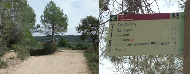 La Bisbal del Penedès a Montserrat; Camí de la Guitza en direcció al riu Anoia