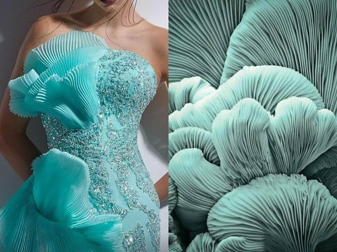 Modern Art With The Mushroom | Mushroom Fashion Theme | Scope Of Mushrooms