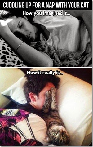 cat_owners_4
