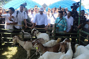 Lauching Optimalisasi 45 Ribu Lahan Rawa Lebak oleh Mentan di Kabupaten Wajo