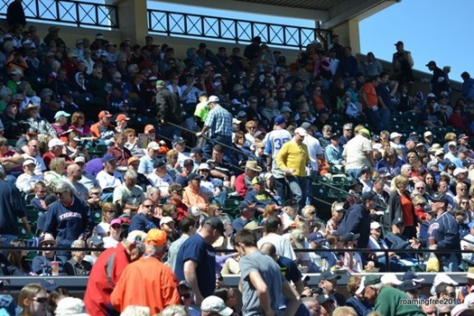 A beautiful day for baseball