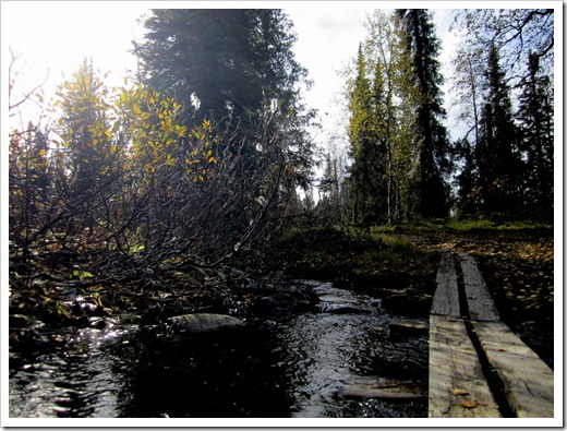 Ganska mycket vatten att passera över och eftersom det hade regnat i 6 veckor i sträck fanns det massor med vatten överallt.