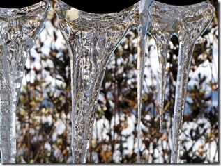 ice 2
