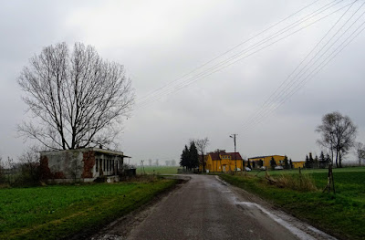 Zdjęcie: