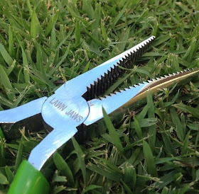 Taking A Bite Out of Weeds With Lawn Jaws