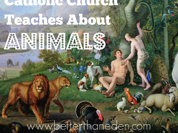 What Catholics Believe About Animals