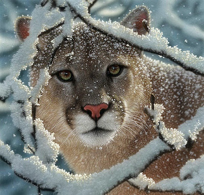 realistic paintings of animals