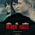 Black Rock 2012 Online Gratis