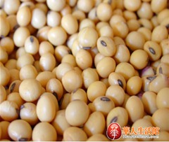 黄豆2