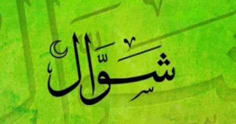 Puasa Syawal atau Qodho Dulu untuk Muslimah? - Risalah Islam
