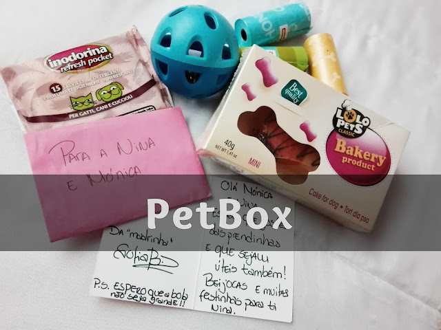 PET BOX / Bloggers Project #2