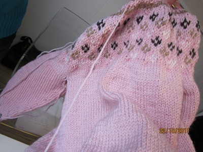 bindibrunsj 010