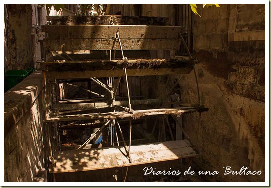 Avignon-42