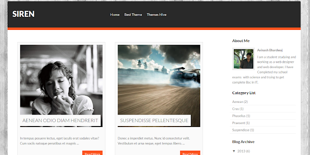 Siren Gallery Magazine Blogger Template