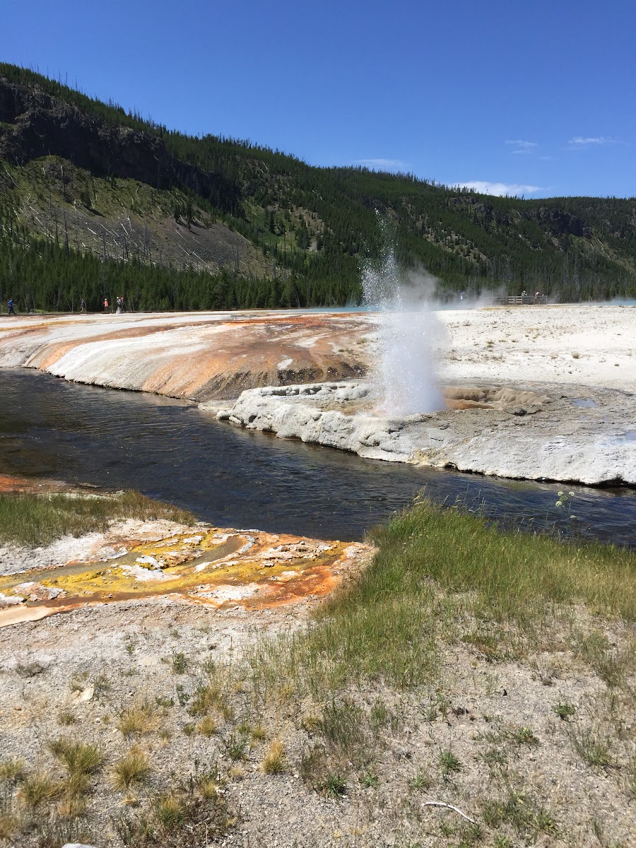 Yellowstone USA côté volcan