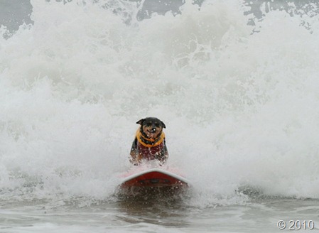 surfing-2