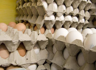 Wright County Eggs Recall Issue