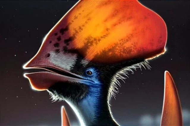 Según un nuevo estudio, los pterosaurios tenían plumas de colores