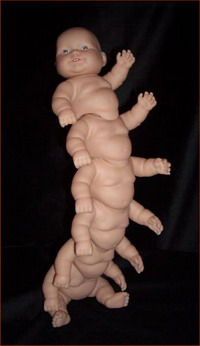 Centipede-doll