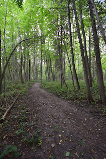 Lindenwood Management Area.