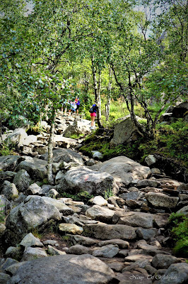 PREIKESTOLEN – Stavanger Norwegia, vindex tengker