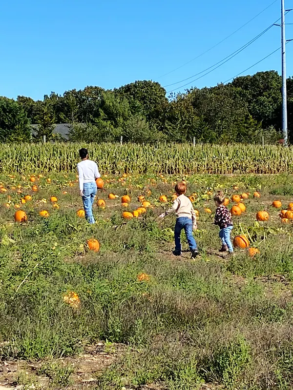 pumpkin patch with people