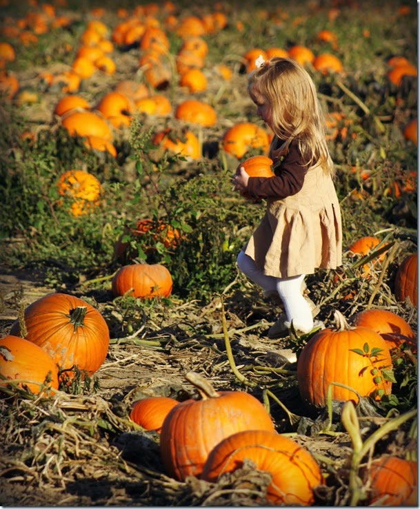 pumpkinella