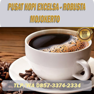 kopi excelsa mojokerto