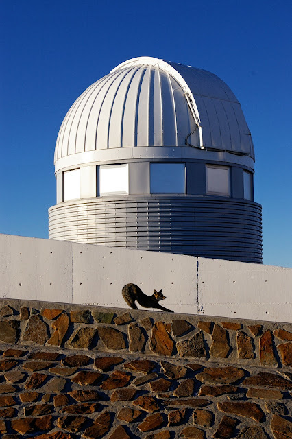 Fox and Swiss 1.2-metre Leonhard Euler Telescope at ESO’s La Silla Observatory