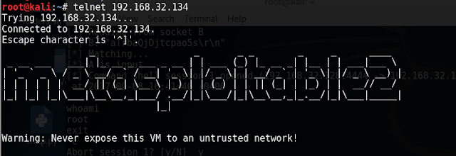 Metasploitable2  Gaining Access