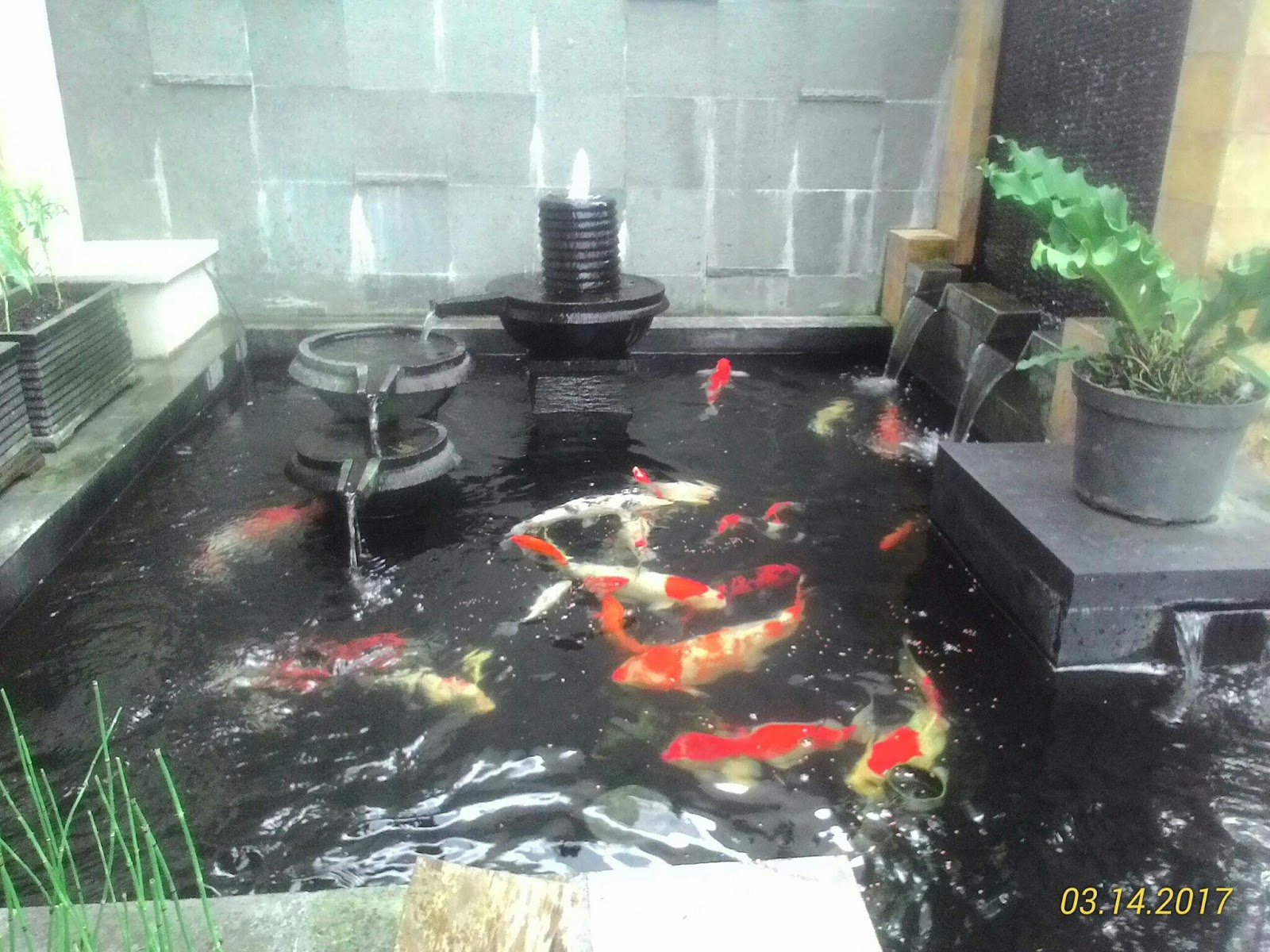 6 Ide Kolam Ikan Minimalis dengan Batu Alam