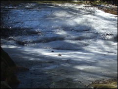 DSCF1998