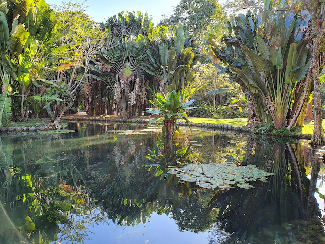 Blog Apaixondos por Viagens - Passeio no Jardim Botânico - Rio de Janeiro