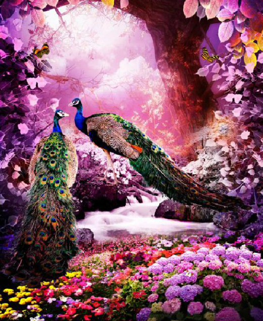 Spiritual Connection of Peacock