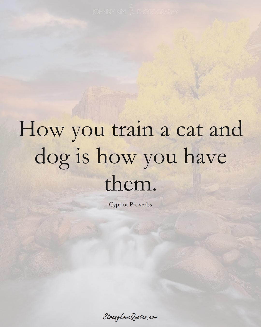 How you train a cat and dog is how you have them. (Cypriot Sayings);  #MiddleEasternSayings