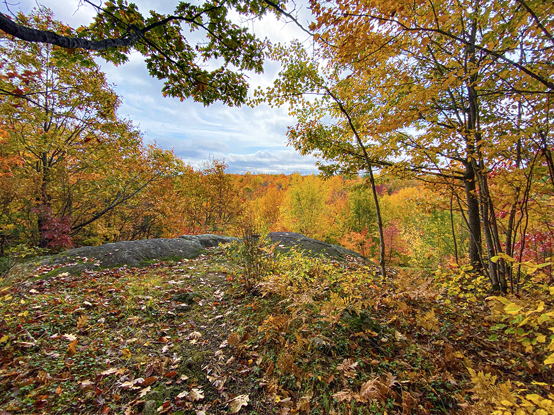 Overlook along the North Country Trail