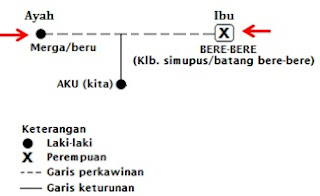 Ilustrasi terjadinya merga dan bere-bere.