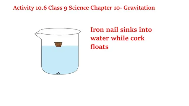 Activity 10.6 Class 9 Science Chapter 10 Gravitation