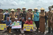 Bupati Mesuji Sulpakar didampingi Kepala Dinas Petanian Mesuji melakukan panen raya Padi di Desa Sungai Badak